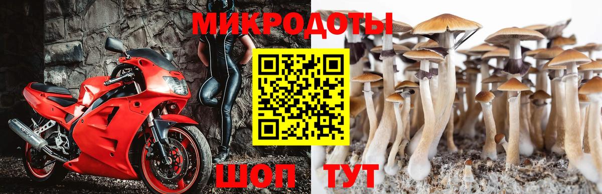 Галлюциногенные грибы GOLDEN TEACHER Междуреченск