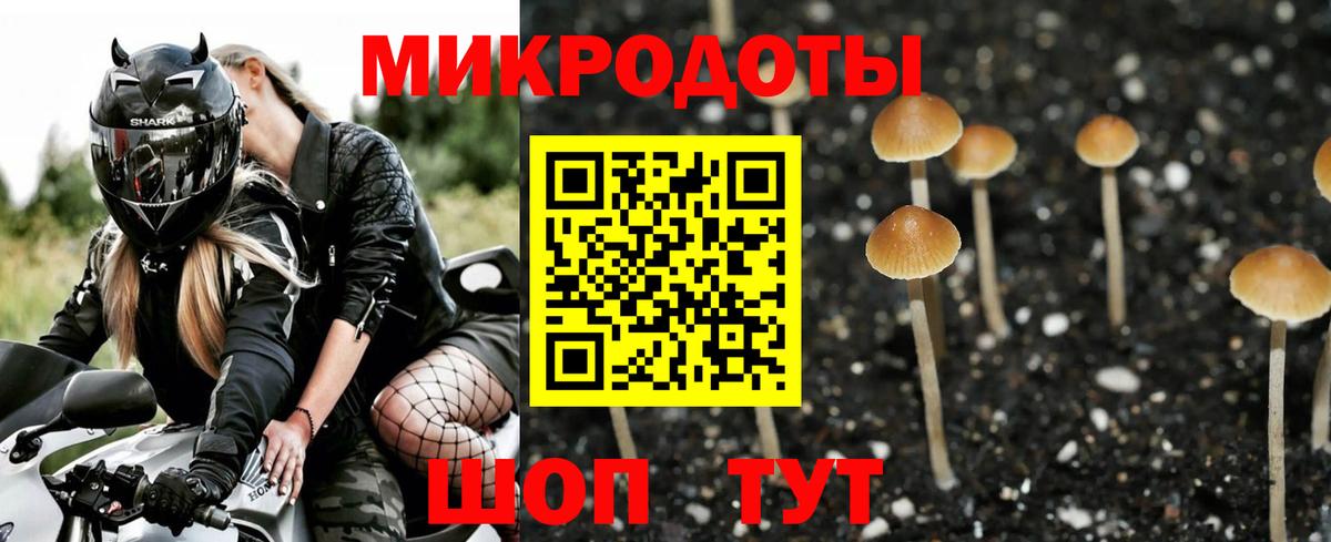 Галлюциногенные грибы ЛСД  Вход с VPN  Междуреченск 